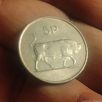 Close-up photo of the 1970 Irish 5 pence coin showing the bull facing left with the denomination '5P' above it.
