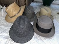 Seven hats arranged on white paper. Includes straw, tweed, wool, felt hats with various gray and beige tones. One straw with band, one beige felt fedora with black band.