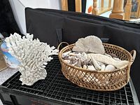 Collection of assorted seashells and coral pieces in a woven basket alongside the large coral piece.