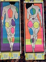 Full view of pair of black light psychedelic art posters of nude man and woman side-by-side showing neon colored oval accents on pale figures against multicolor backgrounds with black borders.