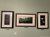 Photo of the three original framed paintings by Heather Bale hanging on a wall, showing floral and landscape subjects.