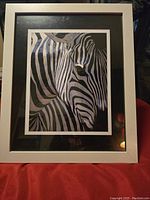 Photo of the framed zebra close-up photograph, showing black and white striped animal with double matting and white frame.