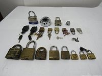 Top view of entire lot showing 20 assorted padlocks in brass, steel, and combination types, laid out on white surface