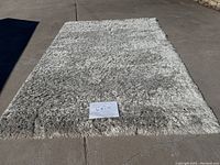 Full view of light gray shag rug laid out on pavement with note showing 6-8 x 9 size.