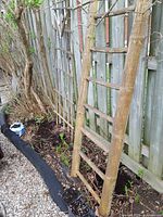Bamboo wood ladder standing outdoors against a wooden fence, showing height and side profile with seven rungs.