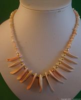 Front view of the spiked shell necklace on a white display bust showing the arrangement of shell spikes and gold beads.