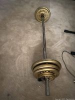 Metal curl bar assembled with weight plates on each end and securing collar visible, placed on carpeted floor.