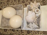 Two large white ostrich eggshells placed in a woven basket next to six assorted conch shells in white ceramic container on patterned surface.
