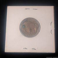 Reverse side of the 1930 Indian Head Nickel, showing the buffalo image with some green discoloration, mounted in a white cardboard 2x2 coin holder with 4 staples.