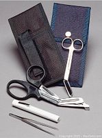 Photo showing holster with EMS shears, bandage scissors, splinter forceps, and disposable penlight arranged alongside