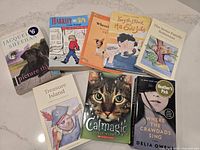 Top view of eight books arranged side by side showing front covers and titles.