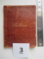Front cover of the book showing brown leather with gold embossed title lettered 'The Raven'. Visible wear and small holes along spine edge.