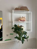 White metal wall shelf with wood fish decor on top shelf, large seashell on middle shelf, and live green plant spilling over lower shelf. Shelf mounted on white tiled wall.