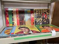 Photo showing 10 vinyl record album covers featuring Elvis Presley arranged on a shelf, including a variety of RCA releases and colorful album art.