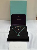 Full view of necklace and earrings in original Tiffany & Co. box and packaging