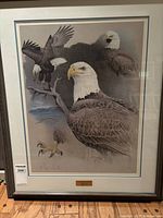 Framed eagle print by Glen Loates with detailed bald eagle images