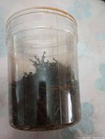 Clear plastic jar filled with 3-inch plasterboard nails with visible surface rust