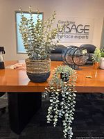 Photo showing both fake plants positioned on a wooden table with background items and a sign on the wall.