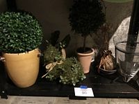 Photo showing artificial green topiary ball in mustard yellow pot, rabbit moss figure, and other green decorative items on shelf