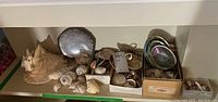 Wide view of varied sea shell collection including large conch shells and boxes with mixed shells.