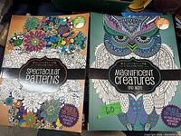 Two adult colouring books side by side, showing cover designs and titles