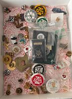 Top view of multiple pins arranged in a box on patterned paper, showing a variety of themes and some pins in packaging.