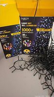 Showing two boxes of Danson LED light sets with some lights out for display. The larger box contains 1000 LED bulbs, smaller box 500 bulbs.