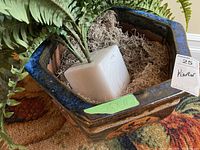Close-up top view showing faux plant with white foam base inside ceramic planter pot filled with dried moss.