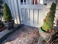 Two weathered concrete planters on a brick surface, each containing a small green conical evergreen tree. The planters have decorative grapevine motifs and measure approximately 17 inches in diameter.