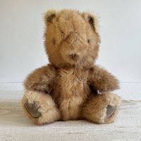 Front view of the teddy bear, showing full body and sitting pose.