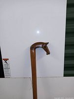 Full view of the wooden cane with horse head handle against a white background.