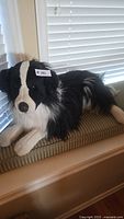 Side view of life size Border Collie plush toy on a striped cushion by a window with blinds, showing detailed black and white fur pattern on face, ears, and body.