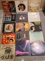 Photo showing full collection of 15 vinyl albums arranged in four rows