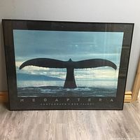 Framed print featuring whale tail silhouette above water with sky background.