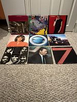 Front view of nine vinyl LPs showing album covers