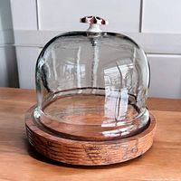 Photo showing wooden round base with visible grain and metal legs, topped with a clear glass dome with a white and red ceramic handle.