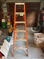 Full front view of the 6-foot fibreglass ladder showing six metal steps and orange fibreglass rails.
