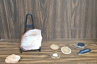 Overview of seven smaller geological samples displayed on wood surface with a metal stand holding one large polished rock