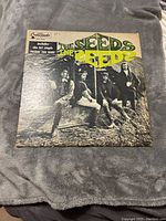 Full front cover of The Seeds LP album showing the band sitting against a wall with large green lettering.