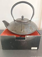 Front angle view showing dark blue cast iron teapot with dragonfly design on body and lid, sitting on original black and red box.