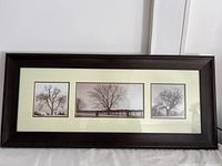 Framed photographic art piece with three tree photos on cream mat in brown frame, showing complete front view.