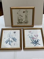 Photo showing the three gold-framed botanical prints together, two square and one rectangular, displayed on floor against wall.