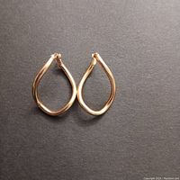 Overhead view of both earrings on black background