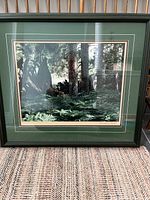 Full view of the framed forest print in green matting and frame showing forest and foliage details.