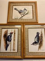 All three framed watercolour bird paintings arranged together showing woodpecker, blue jay, and nuthatch, with wooden frames and fabric mattes.