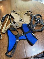 Photo showing three different dog harnesses and one tan beige stretchy leash on wood table.