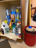 Cleaning supplies in cabinet including spray bottles, cleaning liquids, microfiber cloths, mop pail, mop, small trash can.