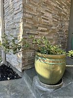 Green ceramic planter pot with small leafy plant on concrete step next to stone wall.