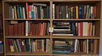 Wooden shelving unit filled with assorted books, showing various book sizes, colors, and worn conditions.