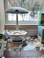 Full view of white Aerogarden system placed on a counter near window, showing vertical adjustable LED grow light and six plant pods.